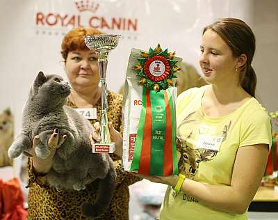 �������� ����� '���-�����-�������' 18-19 ������� 2014 13-74-169A3451 copy.jpg